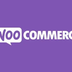 Address Field Autocomplete For WooCommerce