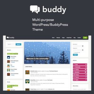 Buddy: Simple WordPress & BuddyPress Theme